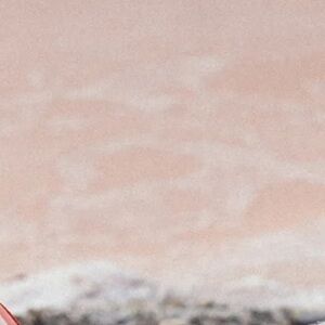 Meet your Posher, Akaah